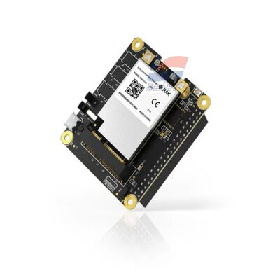 YJJ RAK5146 PiHAT 集中モジュールは,センサーデータ収集のためにLoRaWANに適しています.