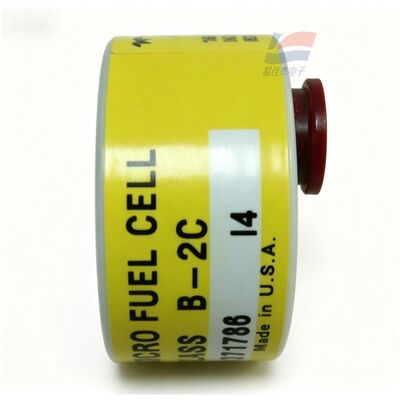 YJJ C06689-B2C クラス B-2C 半導体電子製造用 0-10ppm トレース酸素センサー